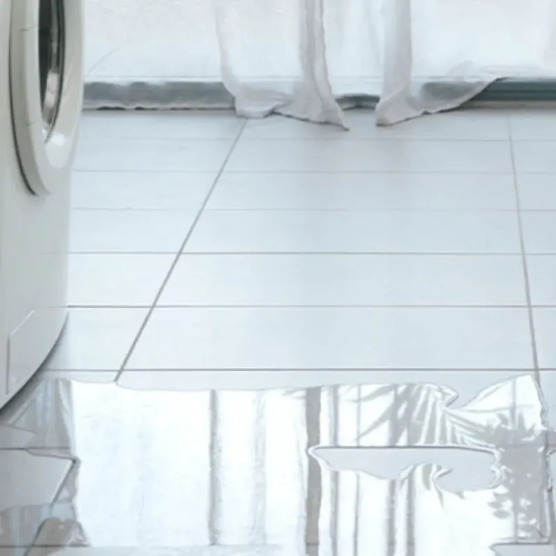 Appliance Leak Cleanup in Goulding, FL