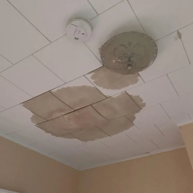 Ceiling Water Damage Repair in Goulding, FL