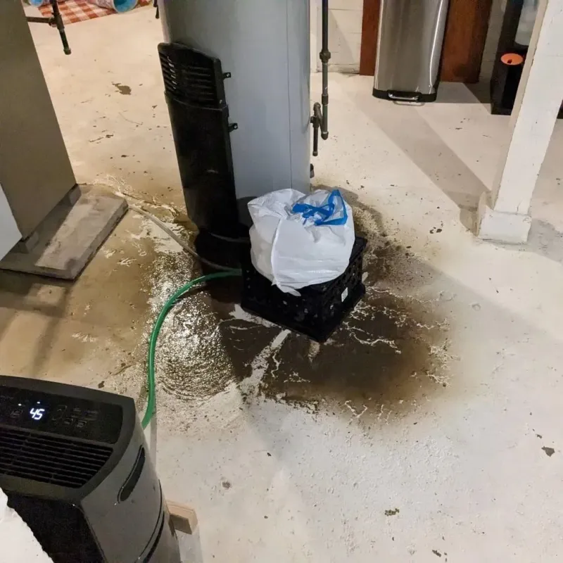 Sewage Backup Cleanup Service in Goulding, FL